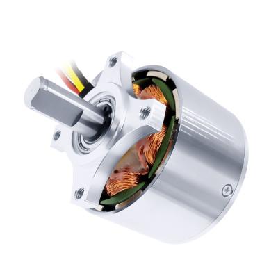 China Ip20 Customized 48v High Torque 750w Brushless Motor 36V 24V for sale