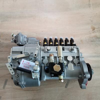 China High Pressure Fuel Injection Pumps CP61Z P61Z651 B For Shangchai Engine Repair for sale