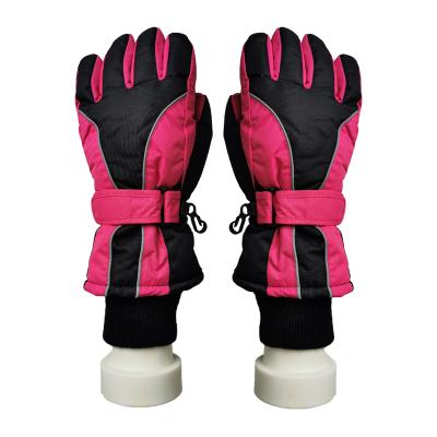 China Factory outlet DDP 3M PU riding gloves waterproof reflective windproof thinsulate material for sale