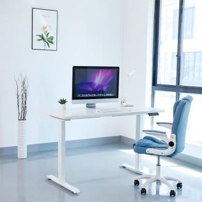 China (Size)Ergonomic Electric Motor Adjustable Sit Stand Adjustable Standing Desk Double Desk Furniture for sale