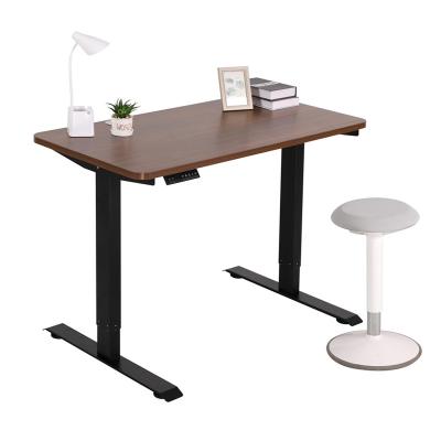 China NATE Standup Desk (Height) Amazon Hot Sale Ergonomic Height Adjustable Motor Electric Adjustable Sit Stand Home Office Double Table for sale