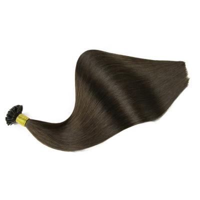 China Genleelai Greathairgroup Wholesale Hair Ponytail U Tip Hair Extension Nail Prebonded Hair 100% Silky Straight Wave Hair for sale