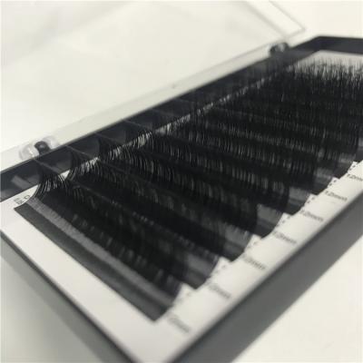 China Natural Top Quality Long Eyelash Extension D Curl 0.07 0.10 0.15mm Las Extension Supplies Lshes Extensions for sale