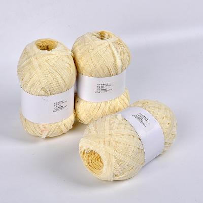 China 2022new Ring Spun style tape yarn 35%nylon 65%acrylic and acrylic blended tape fancy yarn for knitting for sale