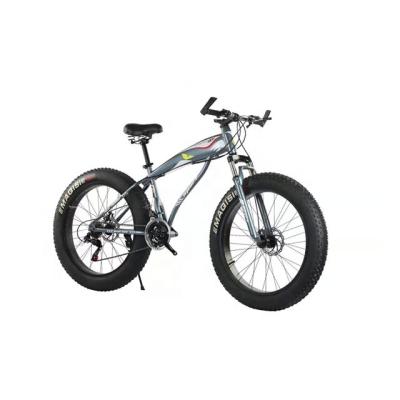 China Steel Fat Tire 21 24 Inch 26 Inch Snow Bike Adult Mountain Bike for sale