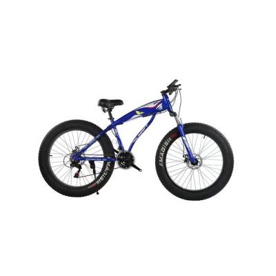 China Newest Factory 21speed Store 2020 Snow Steel Bike Fat Tire for sale