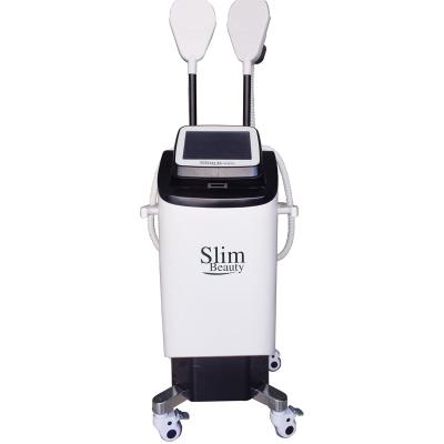 China Exfoliators Fitness Slimming Magnetic Wave Muscle Gainer and Fat Loss Instrument High End Body Management Beauty Instrument for sale