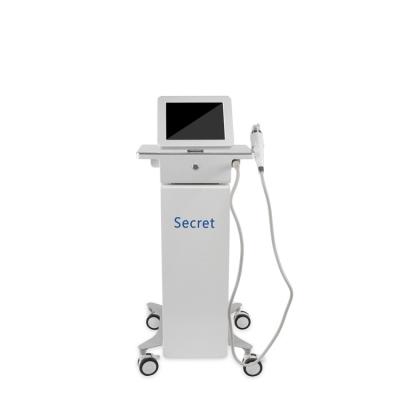 China Skin Tightening Beauty Salon Radio Frequency Microneedle Beauty Skin Care Machine for sale