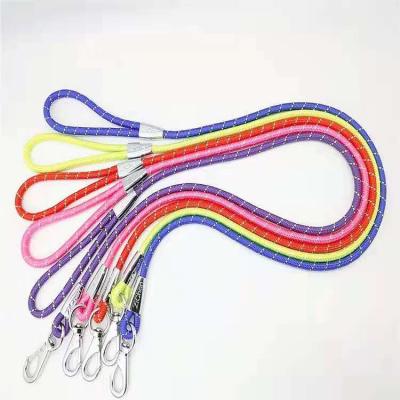 China Pet Leashes Simple Design Pet Rope Dog Round Nylon Dog Leash With Sturdy Clasp for sale