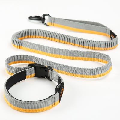 China Customized Wholesale Dog Collar Pet Leash High Leash Hands Free Elastic Retractable Nylon Dog Leash for sale