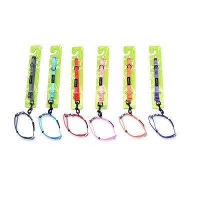 China New Arrival Personalized Nylon Pet Leash Harness Rope Pet Travel Leash Set 2 in 1 Dog Harness and Leash for sale