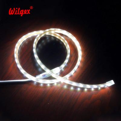 China Top Selling High Voltage Theme Park Silver Wired LED Theme Park Best Income App LED Tube Light Online Neon Decoration 110V 220V 13x7mm Tube Light for sale