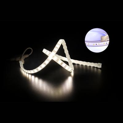 China Theme Park Best Flex Neon 12V 24V 110V 220V LED Home Decor Selling PVC Strip 15x8mm SMD5050 RGB Amazon Tube Light Ultra Bright Rope Strip for sale