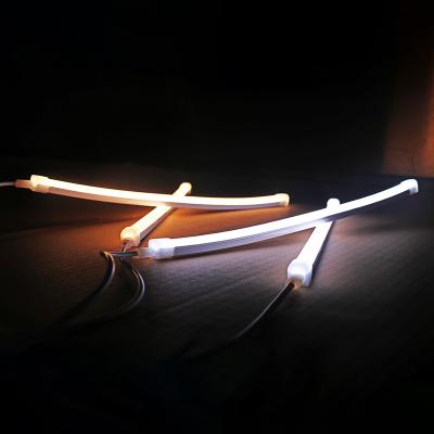 China LANDSCAPE Wholesale 10x10mm Flexible Silicone LED Neon Strips Lights For Indoor Outdoor Decoration IP68 Waterproof for sale