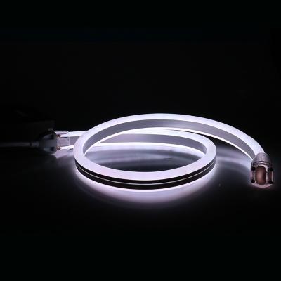 China LANDSCAPE IP68 LED Lights Supplier Duplex 11x24mm RGB PWM DMX Neon Glow Tube Tube Rope Flexible Strip For Indoor Outdoor Decoration for sale