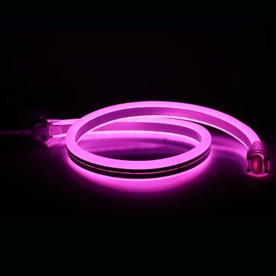 China Outdoor Garden Strip Sing Lights Double Sides 11x24mm SMD5050 RGB PWM DMX IP68 Waterproof 12V 24V 110V 220V LED Strip Rope Neon Tube for sale