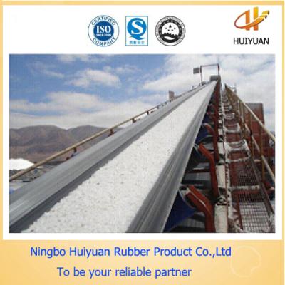 China Chemical Resistant Conveyor Belt for Corrosive Materials (EP100-EP500) for sale