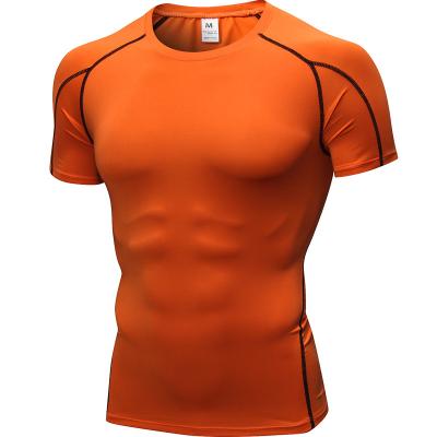 China Other High Quality Polyester Slim Fit Round Neck Fitness Clothing Gym T-shirt Elastic Quick Dry Men for sale