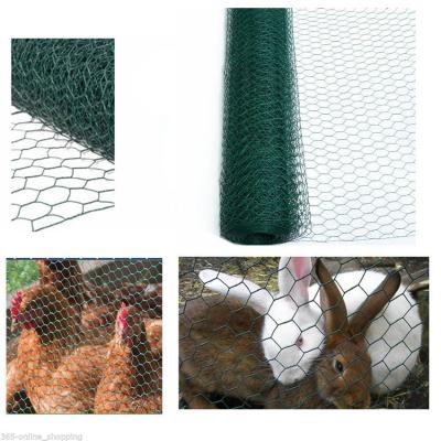 China Galvanized And PVC Strong Green PE Coated Hexagonal Wire Mesh Poultry Farm Netting for sale