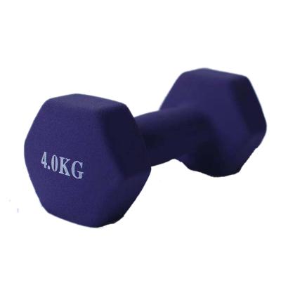 China Multi-Fitness Factory Price Cast Iron 1KG-10KG Gymnasium Colorful Inexpensive Adjustable Dumbbell For Fitness for sale