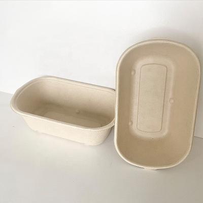 China Single Disposable Lunch Compartment Clamshell Eco Container Boxes for sale