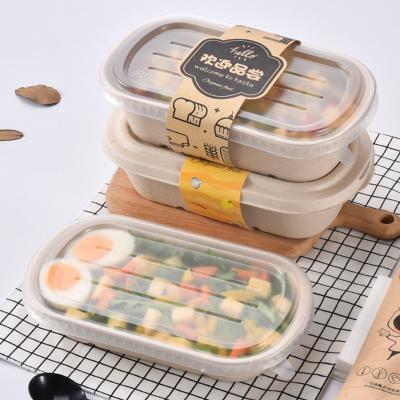 China Custom Biodegradable Disposable Sugarcane Pulp Lunch Box Container Food Salad Microwave Takeout Box for sale