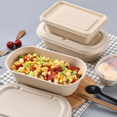 China Disposable Eco-Friendly Disposable Food Packaging Box Bagasse Food Container Doggie Box With Lid for sale