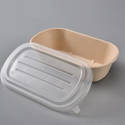 China Bagasse Disposable Takeout Box Doggie Box Food Container Disposable Biodegradable Box With Lid for sale