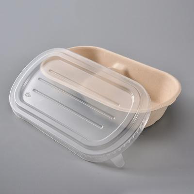 China Disposable Disposable Food Packaging Box Sugarcane Pulp Food Container Doggie Box With Lid for sale