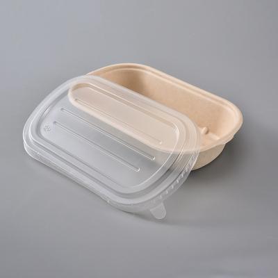 China Custom Disposable Food Container Box Biodegradable Sugarcane Bagasse Lunch Box With Lid for sale