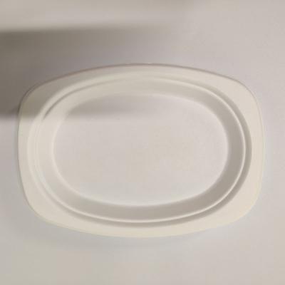 China Biodegradable Biodegradable Dish Tray Dish Tableware Salad Food Disposable Bagasse Sugar Cane Pulp Dish for sale