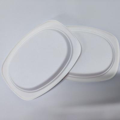 China Factory direct sales disposable square compostable bagasse sugarcane pulp lunch tray for sale