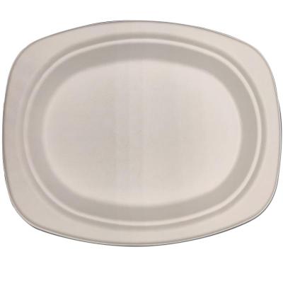 China Degradable compostable sugarcane bagasse dinner dish cheap price disposable 100% biodegradable eco-friendly/disposable for sale