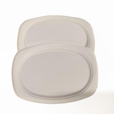 China Disposable Dessert Dish Bagasse Paper Pulp Tanleware Biodegradable Disposable Takeout Sugarcane Oval Bagasse Dishes for sale