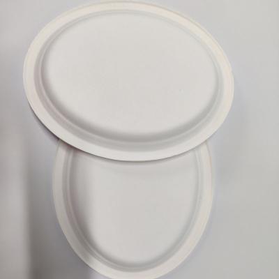 China Disposable 7 Inch 8 Inch Oval Bagasse Sugar Cane Biodegradable Disposable Food Trays for sale