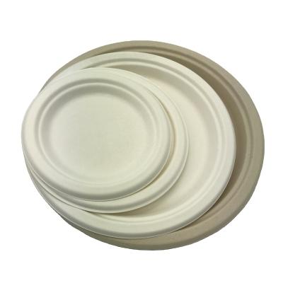 China Biodegradable 6 - 12 oz Eco Friendly Compostable Take Away Food Container Bagasse Plate Bowl Disposable Soup Bowl for sale