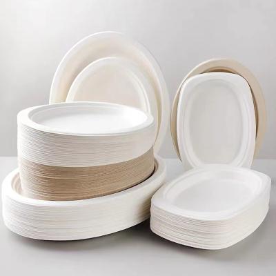 China Bagasse Eco Friendly Biodegradable Oval Dish Disposable Tableware Dinner Dishes for sale