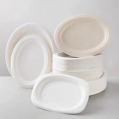 China OEM Food Container Biodegradable Disposable Tableware Sugar Cane Oval Dishes for sale