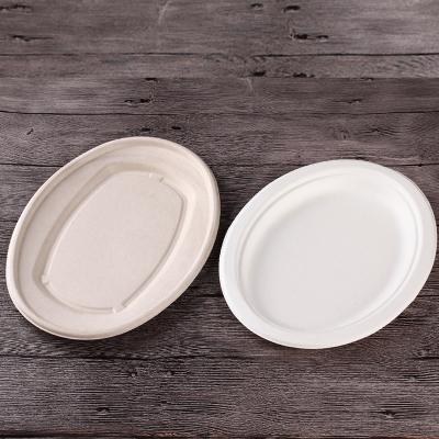 China Eco-Friendly Biodegradable Disposable Container Bagasse Food Dish Cake Sugarcane Pulp Oval Dinner Dishes for sale