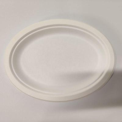 China Disposable Biodegradable Sugarcane Tableware Bagasse Food Tray Disposable Dinner Tray For Restaurant And Party for sale