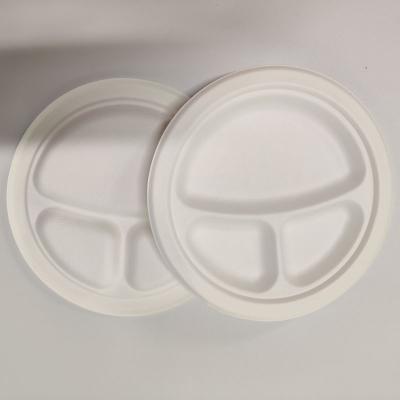 China 3 Compartments Disposable Disposable Bagasse Food Tray 100% Biodegradable Sugarcane Bagasse Dishes for sale