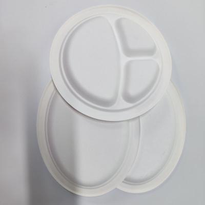 China Disposable Biodegradable Pulp Tray Biodegradable Eco Lunch Box Round 100% Eco Dinner Salad Bowl Environmentally Friendly for sale