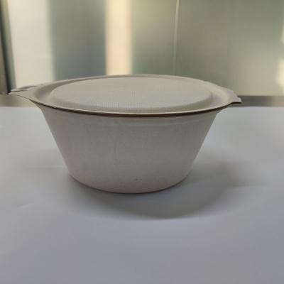 China Disposable Salad Bowl Bagasse Takeout Salad Bowl With Lid for sale