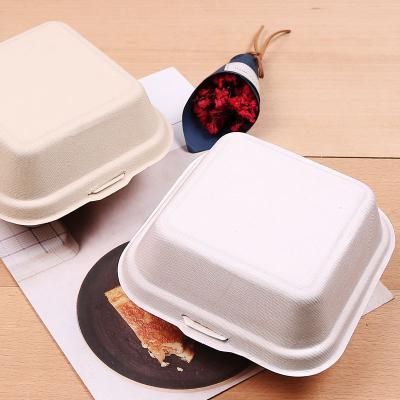 China Biodegradable 8*8 Inch Bagasse Standard Disposable Natural Food Container With Flip Lid for sale