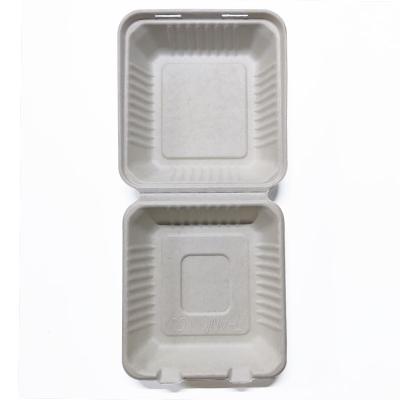 China Disposable Biodegradable Takeout Pizza Burger Fast Food Sugar Cane Bagasse Lunch Box for sale