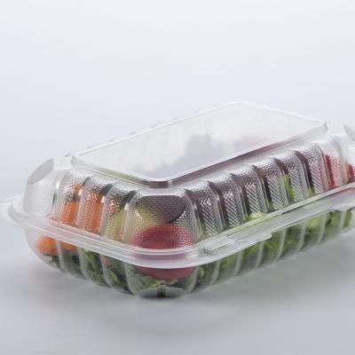 China Sturdy Vented Disposable Fast Food Microwavable Bento Boxes 9x6inch Transparent Clamshell Microwave PP Clear Plastic Food Containers for sale