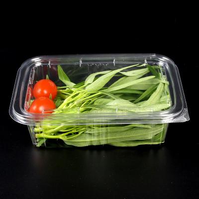 China Disposable Plastic Dessert Takeout Box Cake Freshness Preservation Restaurant Clamshell Clear Hinged Food Containers With Lids for sale