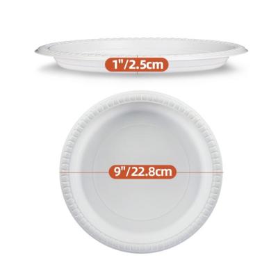 China Disposable BBQ Gather Picnic Eco Friendly Lunch Dish Disposable Fast Food Plastic Dishes for sale