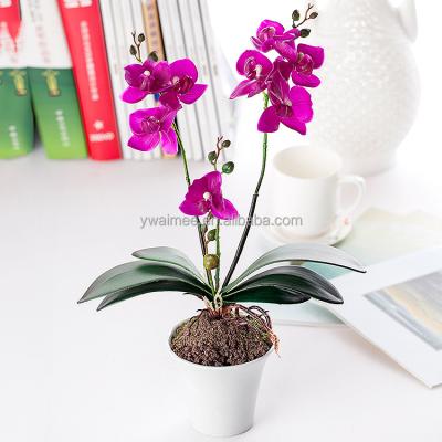 China High-grade fabrics for 2014 wholesale artificial orchid flower Yiwu Aimee hotsale orchid flower(AM-053) for sale