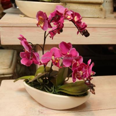 China Silk fabric+ceramics pot real touch artificial Phalaenopsis in ceramic pot (AM-JT12) for sale